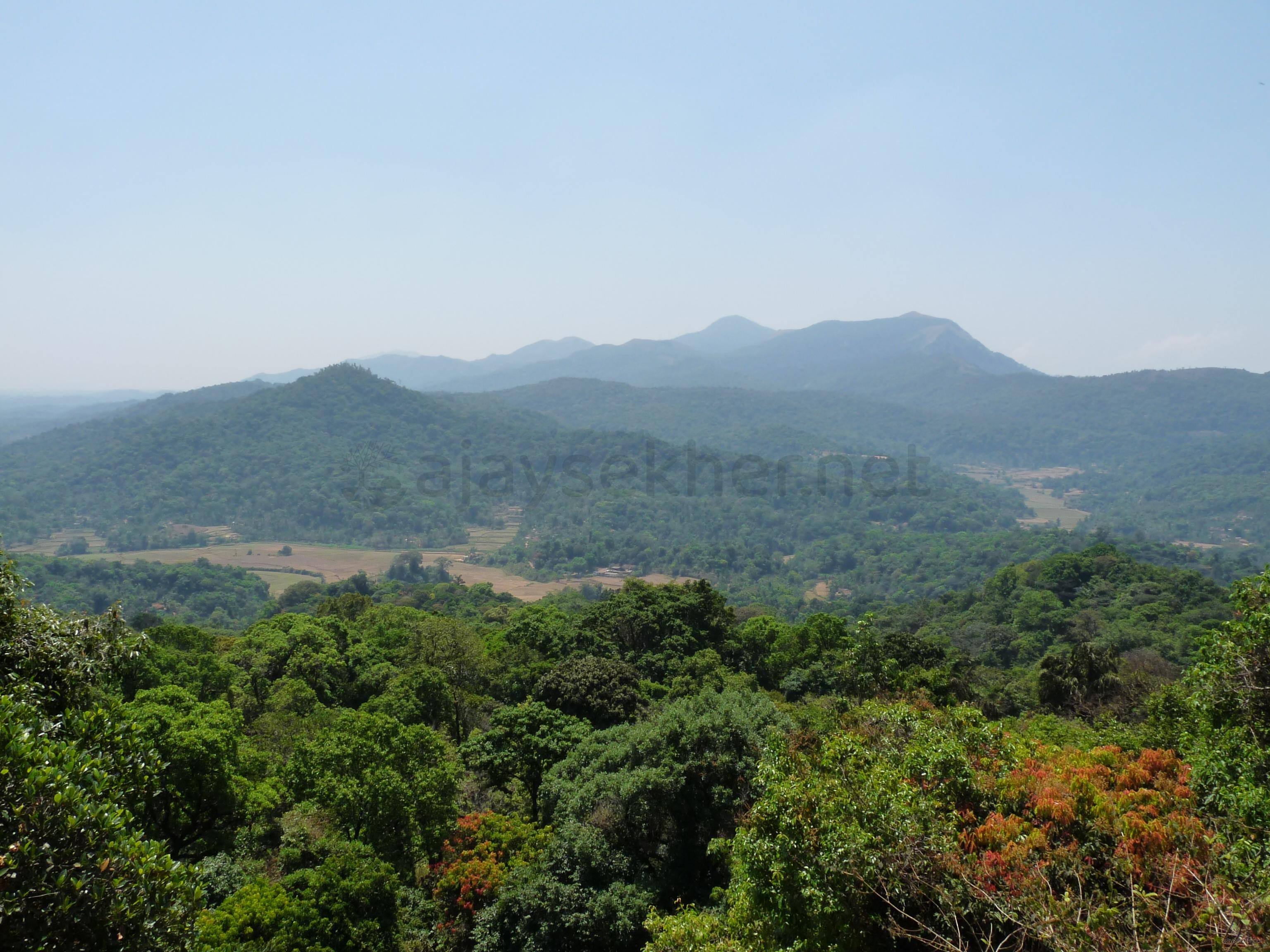 High altitude shola forests and blue mountains of Talakavery, Kodagu