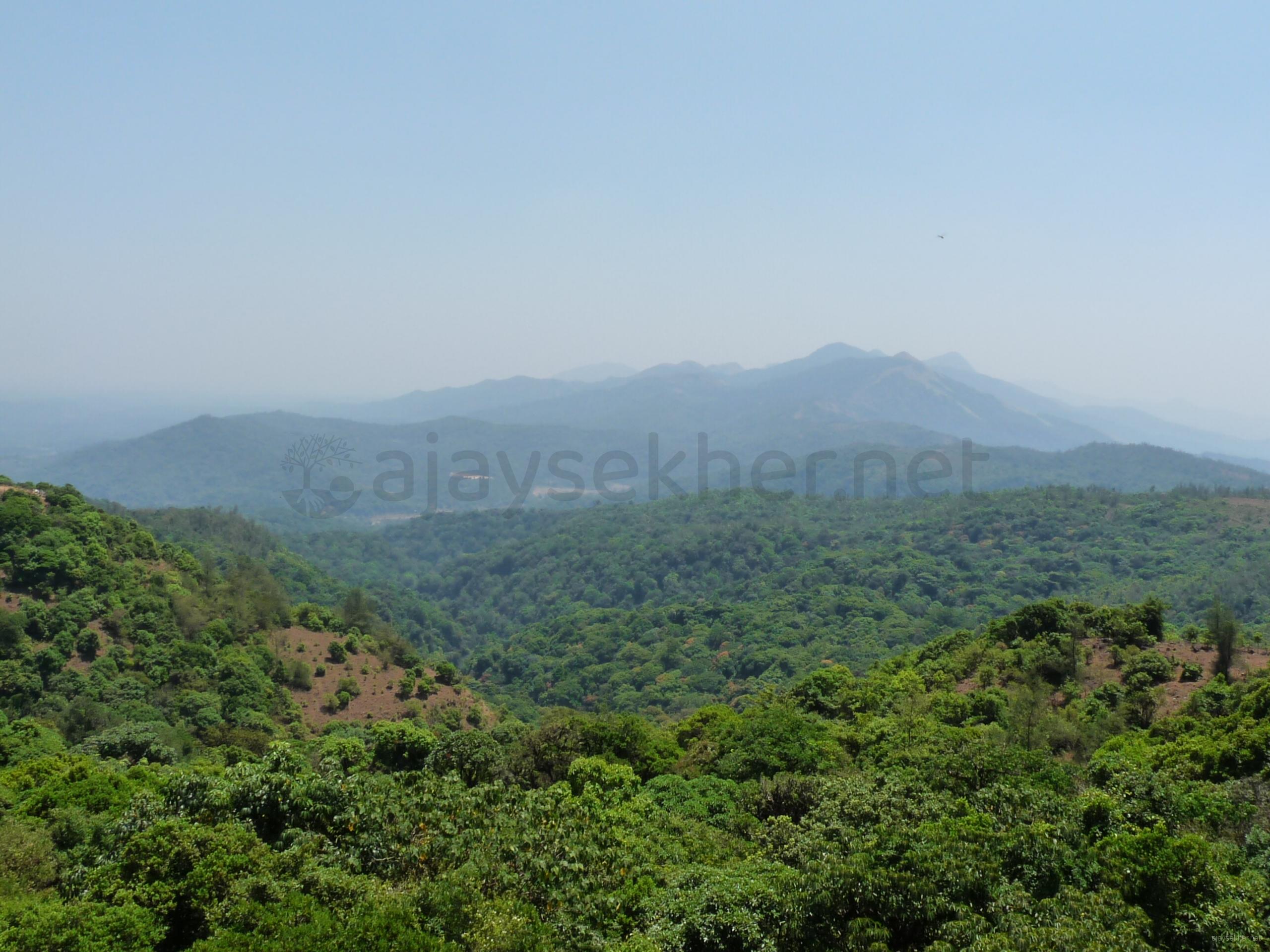 A panoramic view of Kodagu peaks and forests from Talakavery zenith