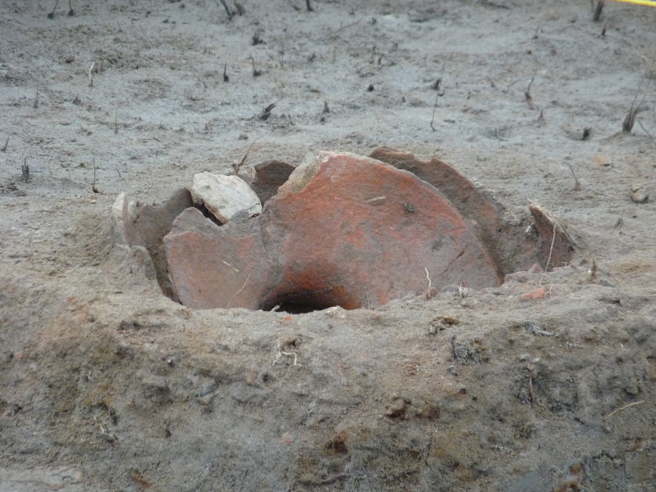 Pattanam excavation