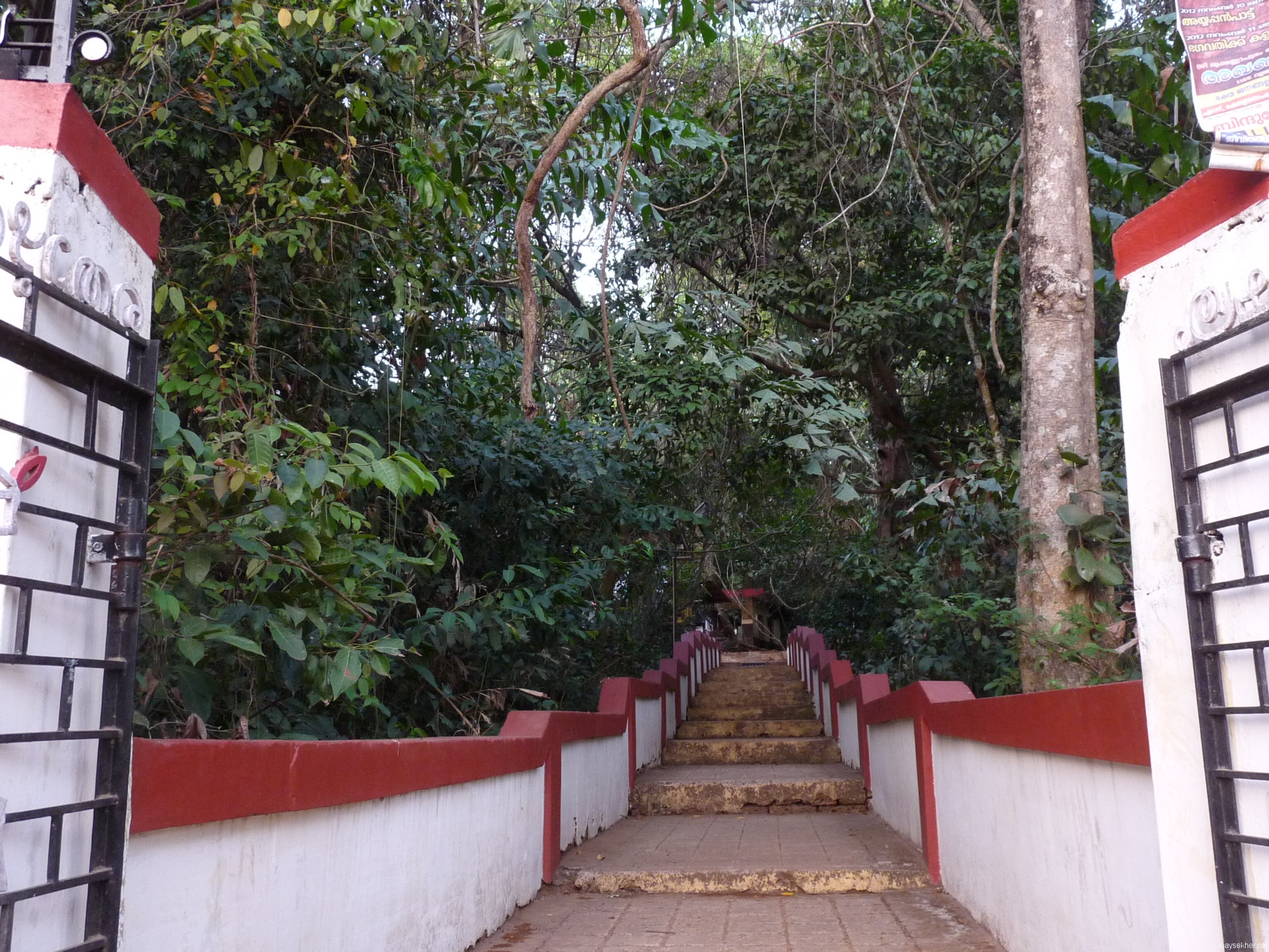 The western gateway of Tozhuvanur Durga temple.  The ancient trees and creepers are still growing in the Kavu or ancient sacred grove in the memory of a nun.