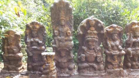 Ancient Naga deities in a Kavu or sacred shrine in Pala. Conservationist culture of early Buddhism is reflected in Kavu culture. Kavu means Kanyakavu or the nuns who composed Terigadha.