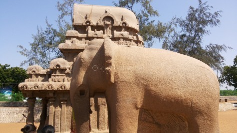 Apsidal or Gajaprishta shrine and the Gajotama the full size elephant, both carved out of monoliths at Mamallapuram site called Five Chariots. Aug 2015