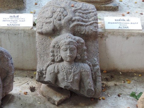 Dakshinamurty fragment in Tiruchirapally Govt Museum, showing remarkable similarities with the above Buddha with the Bodhi tree and hairdo indicating the appropriation of Buddhist iconography into Saivite art in Tamilakam