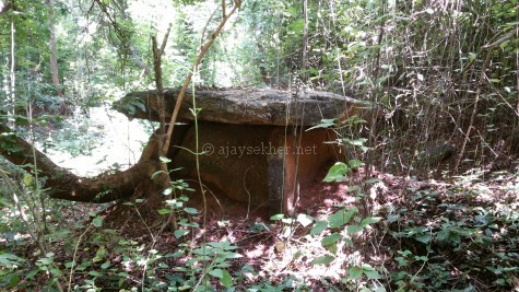 Dolmens revealed from under a heap of red soil at Mupuzha in Palakad.