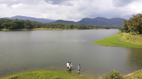 Kuttanpuzha or the riverine forest of Kuttan or Putan towards the north east of Putatankettu reservoir.