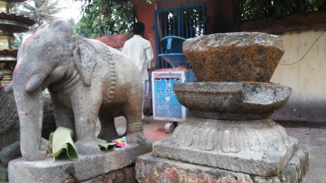 Elephant image is a key icon of the Buddha as Gajotama or Vinayaka as he is represented by Asoka at Dhauli.  Lotus petal motifs on altar and lamp posts are also relics of Buddhist iconography. Dhamma Simhas and Gajas; ethical lions and elephants are everywhere in Kerala temples, especially at the baseline of altars and sanctums.  Pic from Panachikal Kavu at Vaikam temple.
