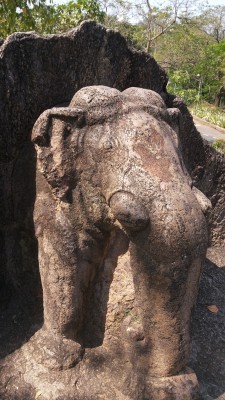 Dhauligiri elephant by Asoka done in BC 3rd century on the banks of Daya river in Bhubaneswar. The first artistic depiction of the Buddha as Gajotama or the exquisite elephant.  Feb 2015