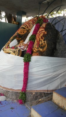Swayambhu Ganes or self incarnate Ganapati at GRU Dindikal in Tamil Nadu, similar to the Dhauligiri elephant of Asoka, having Buddhist antiquity. Dec 2015